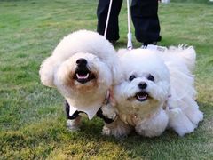 -上海神旺大酒店