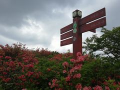 -大围山国家森林公园