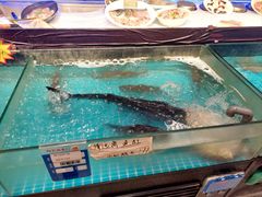 -阿毛饭店(和义路店)