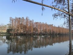 -顺峰山公园