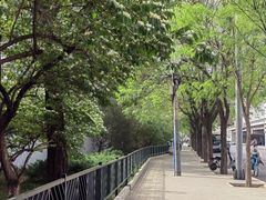 -明泽陆通汽车陪练(总店)