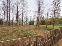 -瑶湖郊野森林公园