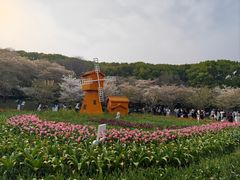 -苏州上方山国家森林公园