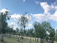 -上海海湾国家森林公园