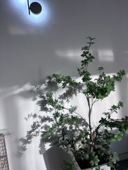 -AM半永久纹眉