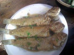 煎马头鱼-和记菜馆