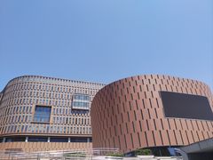 -中国宋庆龄青少年科技文化交流中心