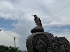 -新加坡飞禽公园