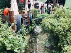 -二荆条·蜀鲜汇城市森林火锅