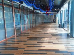 -心俞普拉提运动