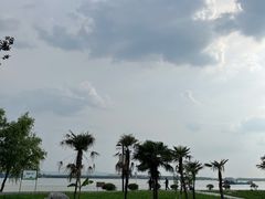-扬子江公园