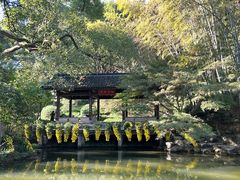 -杭州植物园