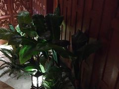 -紫莲花足道(柯桥古镇店)