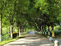 -幕燕滨江·长江观音景区