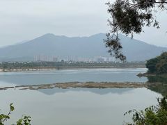 -福建鲤鱼洲酒店