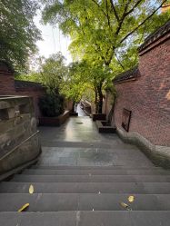 -重庆医科大学附属儿童医院(渝中院区)