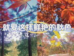 -广州市帽峰山景区
