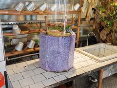 -野草莓自由市场
