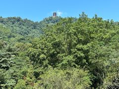 -青城山