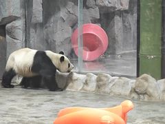 -栾川竹海野生动物园