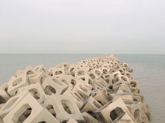 -东疆建设开发纪念公园