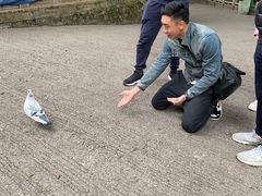 -南华寺素食馆(南华禅寺店)