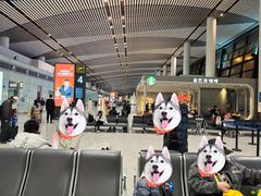 -常州奔牛国际机场