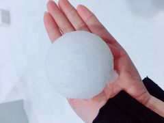 -Mr·Kuma酷么先生雪之乐园