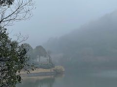 -桃花岭景区