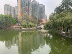 -星海公园(番禺区)