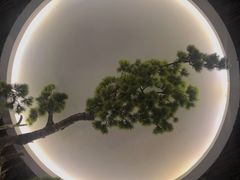 -星河湾温泉洗浴酒店