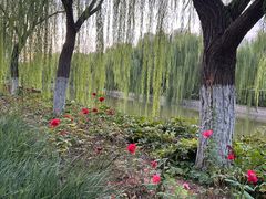 -南翠屏公园