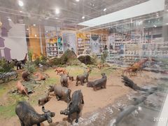 -KKV(常州新北万达广场店)