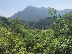 -大岭沟猕猴桃谷风景区