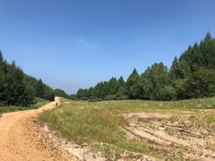 -塞罕坝国家级自然保护区