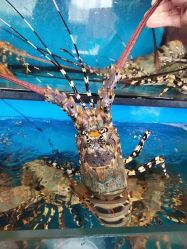 -空中一号宴会厅(信合大厦店)