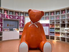 -济州岛泰迪熊博物馆