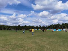 -上海海湾国家森林公园