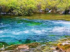 -九寨沟-树正沟