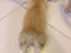 -平行世界·猫咖(首经贸店)