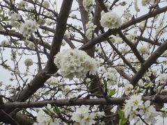 -白鹭湾湿地公园