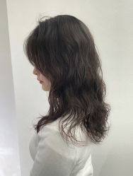 -环球蝶上美业连锁