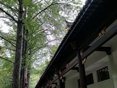 -五泄景区