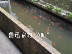 -绍兴鲁迅故里·沈园景区