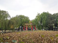 -四川大学(望江校区)