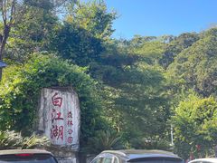 -广州白江湖森林公园