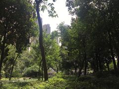 -成都市活水公园