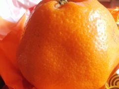 耙耙柑-灯旺水果(常福店)