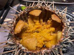 季节活海胆-黑牛の店·黑金店(沈阳万象城店)