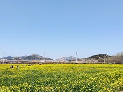 -西海岸生态观光园